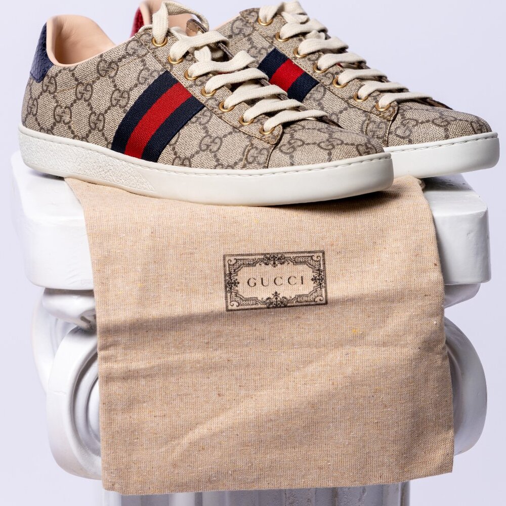 Gucci Ace Sneakers